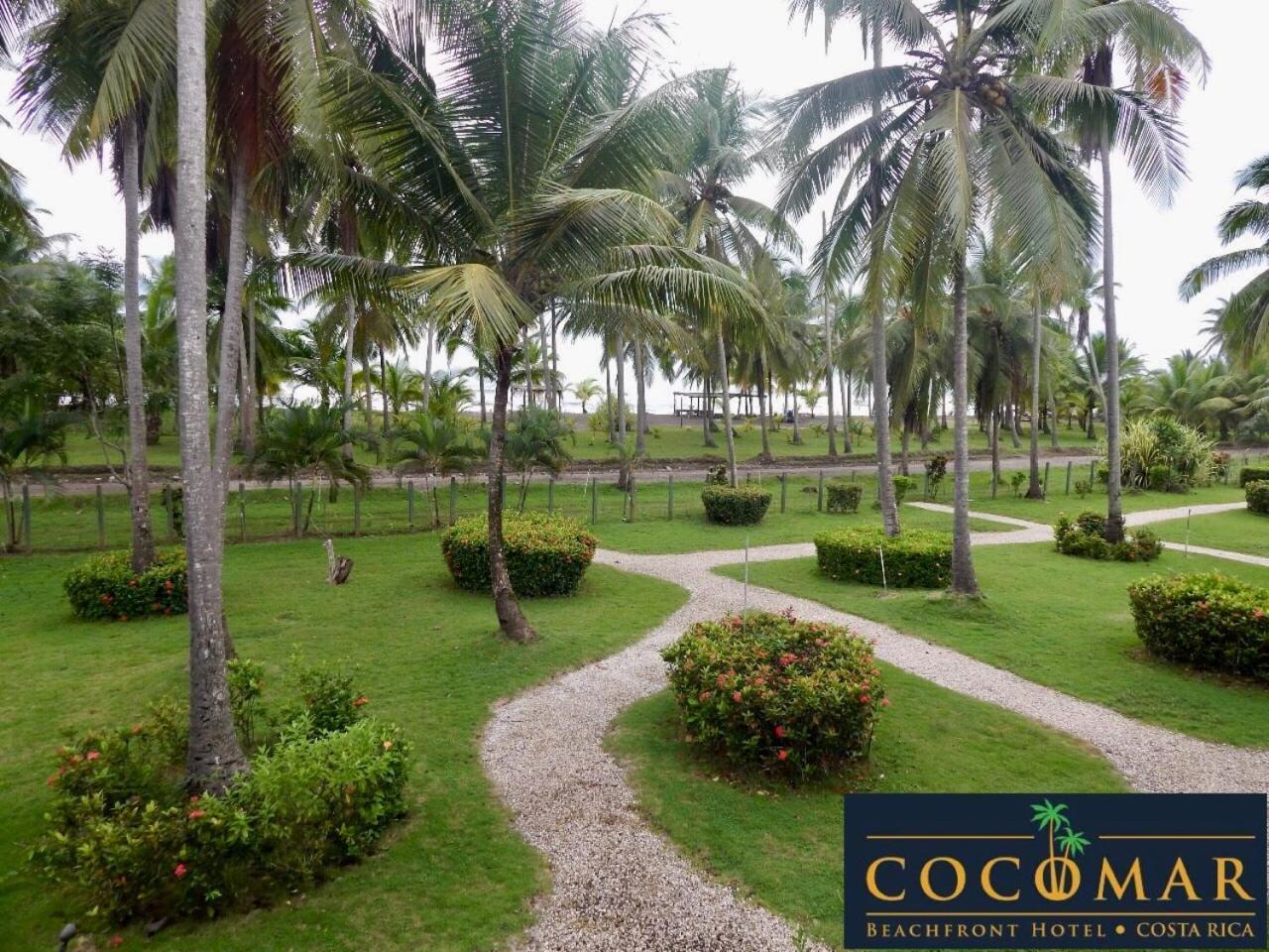Cocomar Beachfront Hotel ปาร์ริตา ภายนอก รูปภาพ