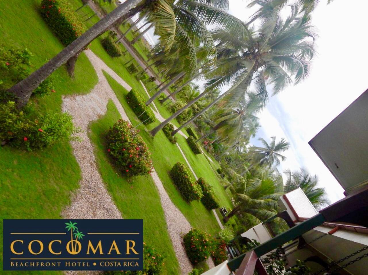Cocomar Beachfront Hotel ปาร์ริตา ภายนอก รูปภาพ
