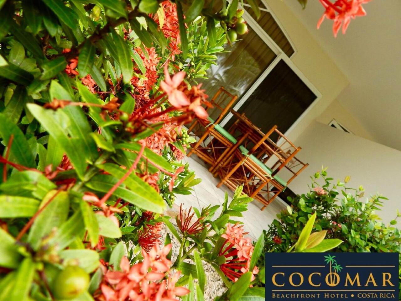 Cocomar Beachfront Hotel ปาร์ริตา ภายนอก รูปภาพ