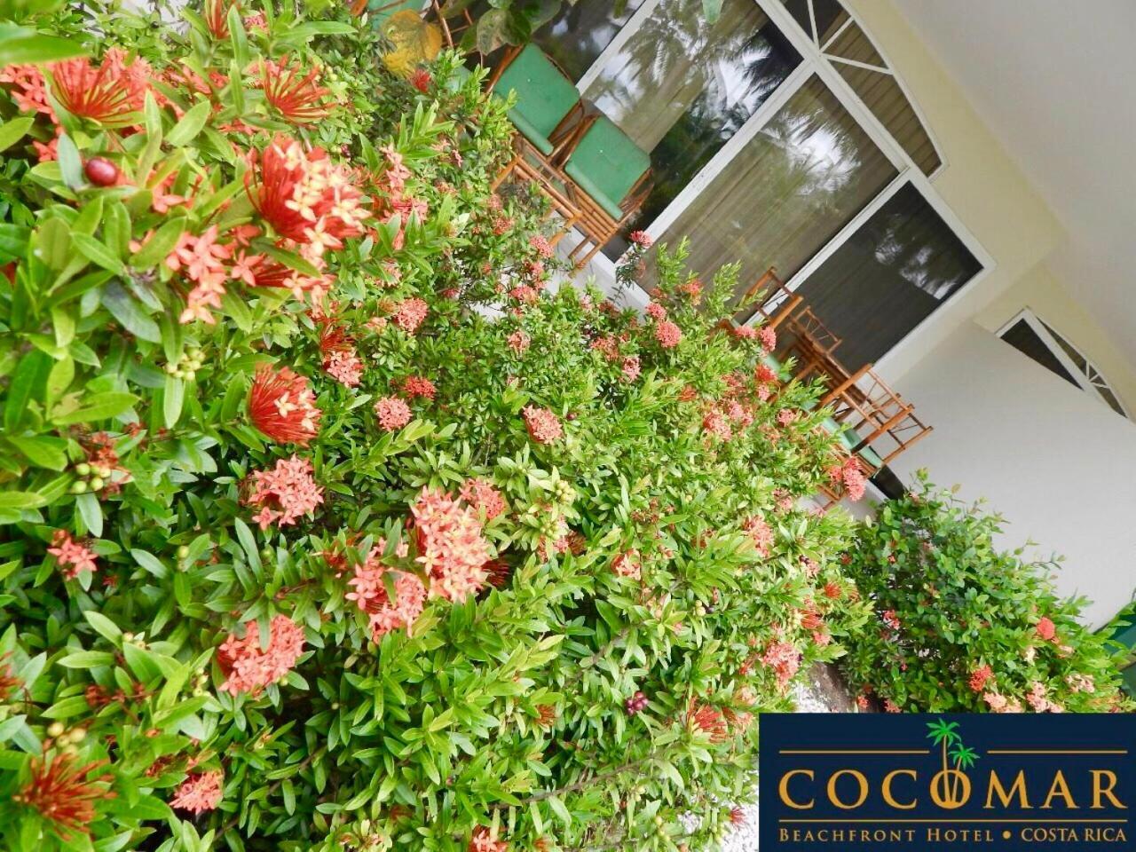 Cocomar Beachfront Hotel ปาร์ริตา ภายนอก รูปภาพ